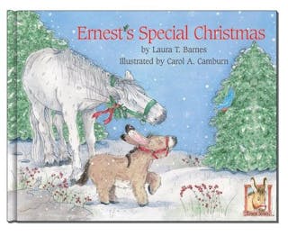 Ernest's Special Christmas