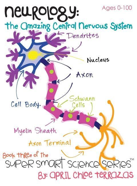 Neurology: The Amazing Central Nervous System