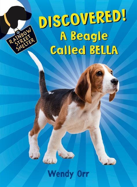 Discovered! a Beagle Called Bella