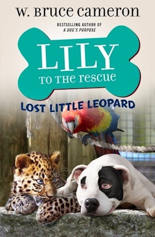 Lost Little Leopard