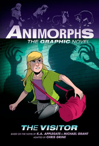 Visitor: A Graphic Novel (Animorphs #2)