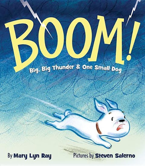 Boom!: Big, Big Thunder & One Small Dog
