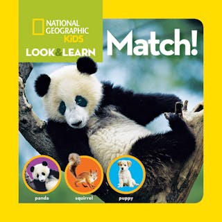 Look and Learn: Match!