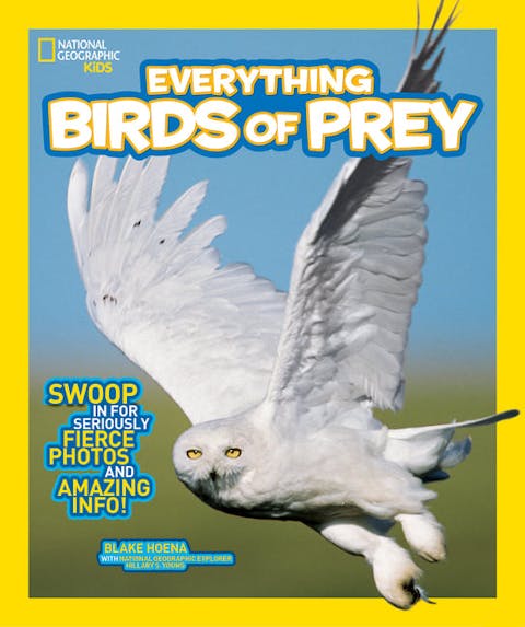 Everything Birds of Prey: Swoop in for Seriously Fierce Photos and Amazing Info