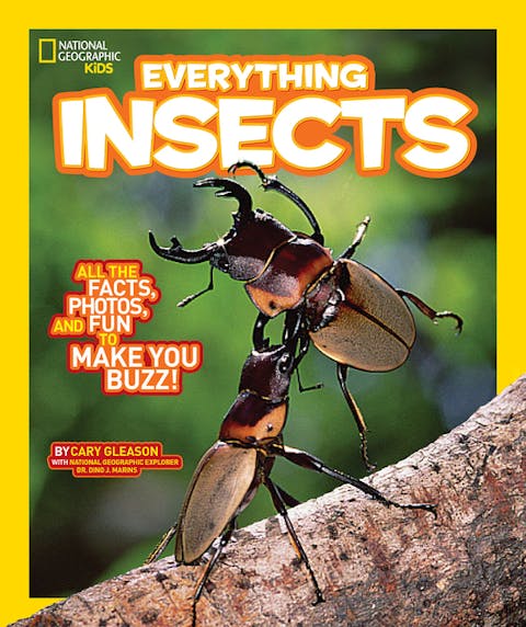 Everything Insects: All the Facts, Photos, and Fun to Make You Buzz