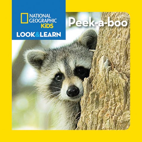 Look and Learn: Peekaboo