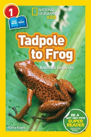 National Geographic Readers: Tadpole to Frog (L1/Co-Reader)
