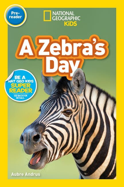 A Zebra's Day