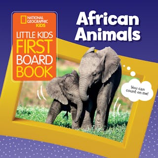 Little Kids First Board Book: African Animals