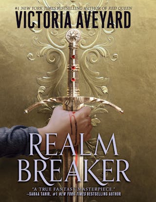 Realm Breaker