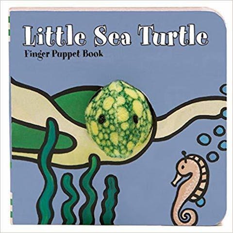Little Sea Turtle