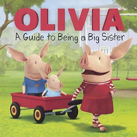 A Guide to Being a Big Sister