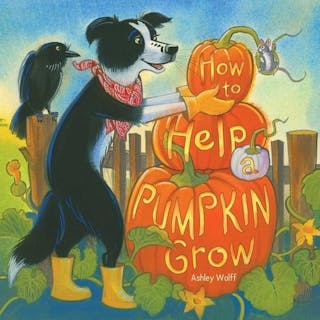 How to Help a Pumpkin Grow
