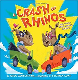 A Crash of Rhinos