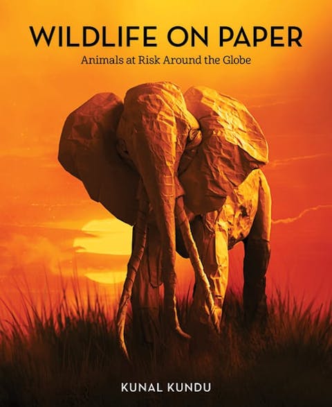 Wildlife on Paper: Animals at Risk Around the Globe