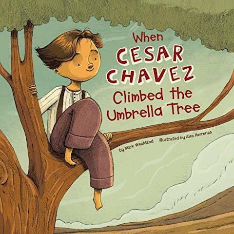 When Cesar Chavez Climbed the Umbrella Tree