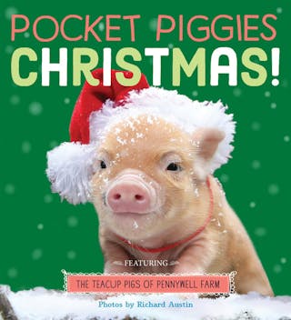 Pocket Piggies Christmas!