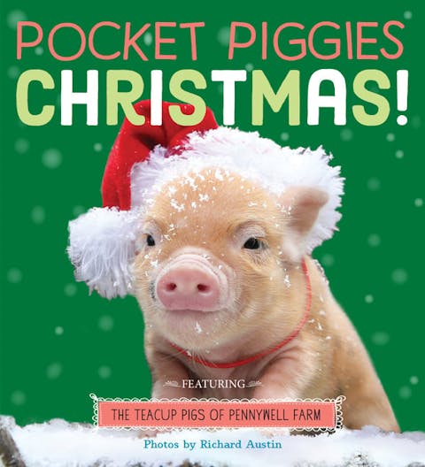 Pocket Piggies Christmas!