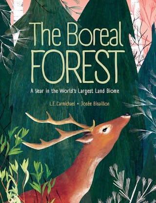 Boreal Forest: A Year in the World's Largest Land Biome