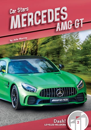Mercedes Amg GT