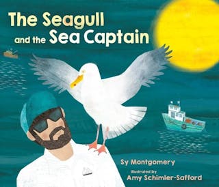 Seagull and the Sea Captain