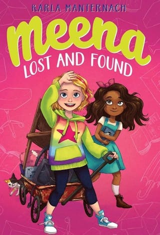 Meena Lost and Found
