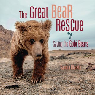 Great Bear Rescue: Saving the Gobi Bears