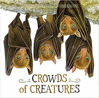 Crowds of Creatures