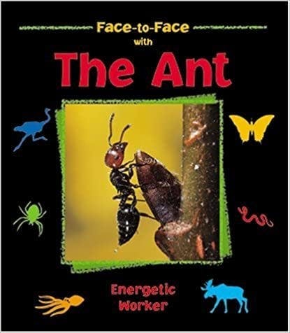 The Ant: Energetic Worker