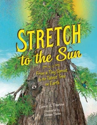 Stretch to the Sun: From a Tiny Sprout to the Tallest Tree on Earth