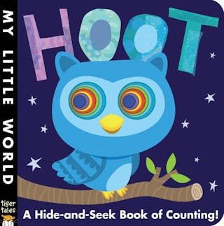 Hoot: A Hide-And-Seek Book of Counting