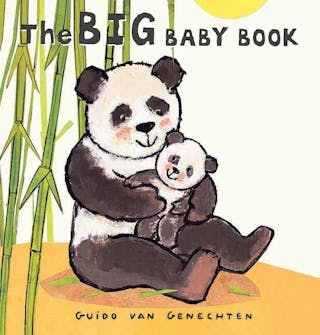 Big Baby Book