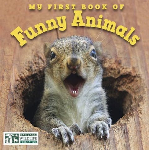 My First Book of Funny Animals