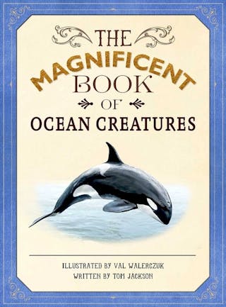 Magnificent Book of Ocean Creatures
