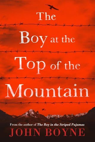 Boy at the Top of the Mountain