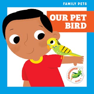 Our Pet Bird