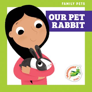 Our Pet Rabbit