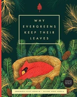 Why Evergreens Keep Their Leaves