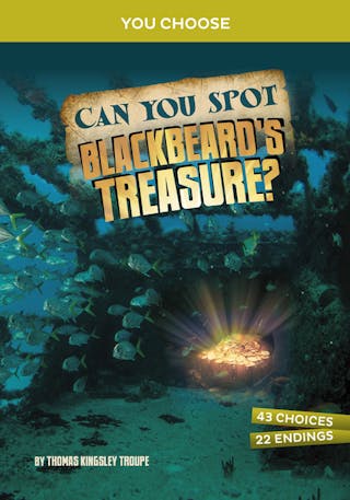 Can You Spot Blackbeard's Treasure?: An Interactive Treasure Adventure