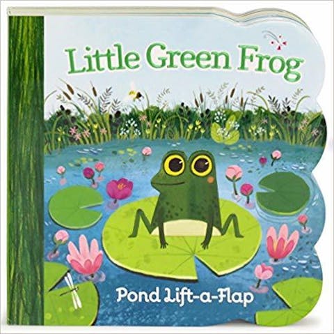 Little Green Frog: Pond Lift-a-Flap