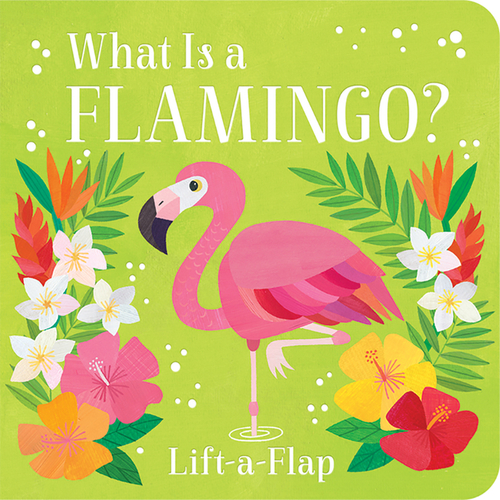 What Is a Flamingo?