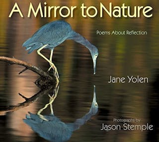 A Mirror to Nature