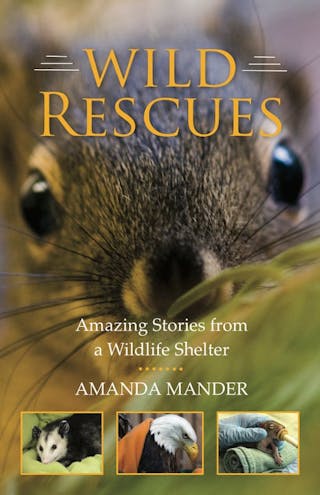 Wild Rescues: Amazing Stories from a Wildlife Shelter