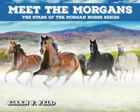 Meet The Morgans: The Stars of the Morgan Horse Series