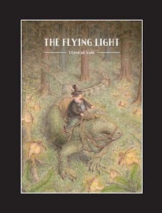 The Flying Light
