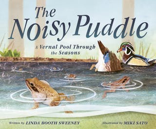 Noisy Puddle: A Vernal Pool Through the Seasons