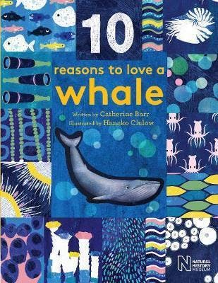 10 Reasons to Love a... Whale