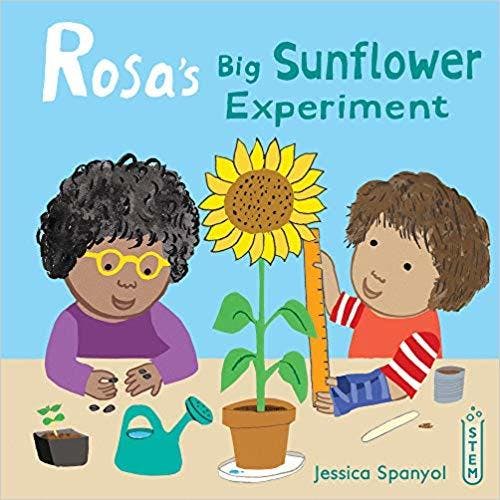 Rosa's Big Sunflower Experiement