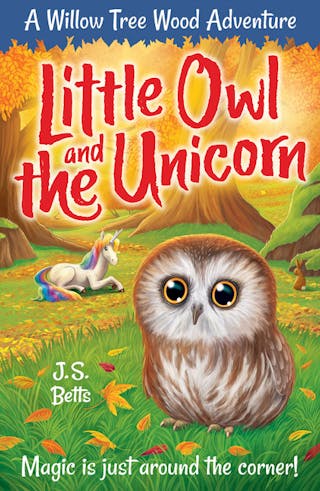 Little Owl and the Unicorn
