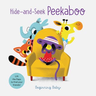 Hide-And-Seek Peekaboo